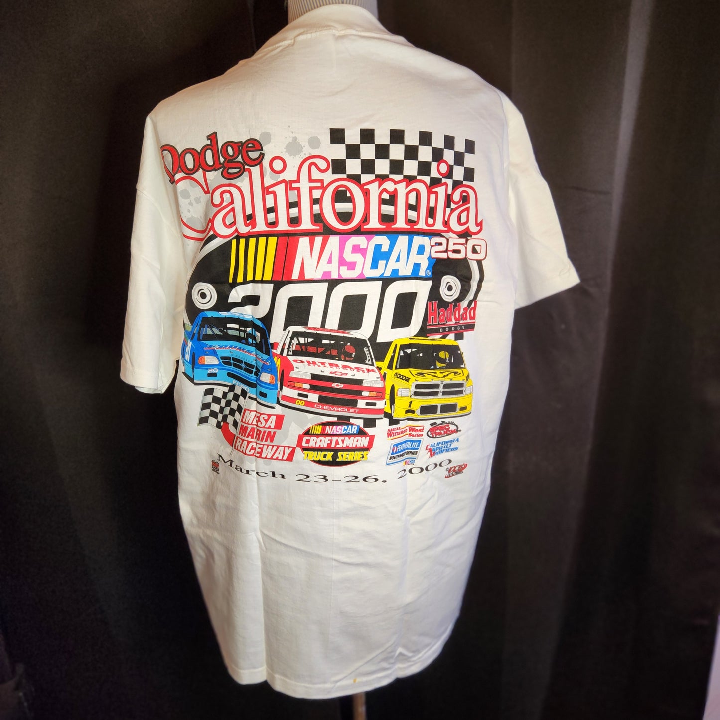 2000 NASCAR Dodge California 250