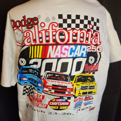 2000 NASCAR Dodge California 250